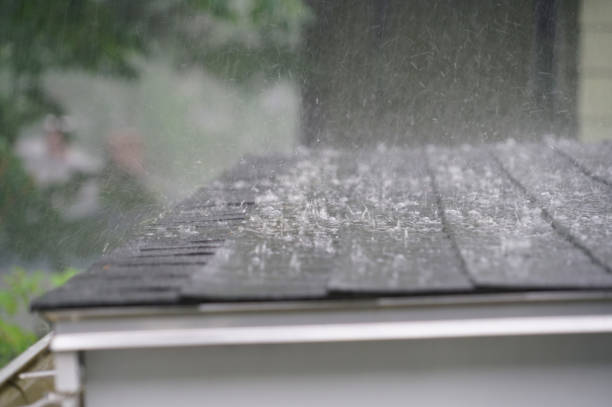Best Roof Maintenance and Cleaning  in Glennville, GA