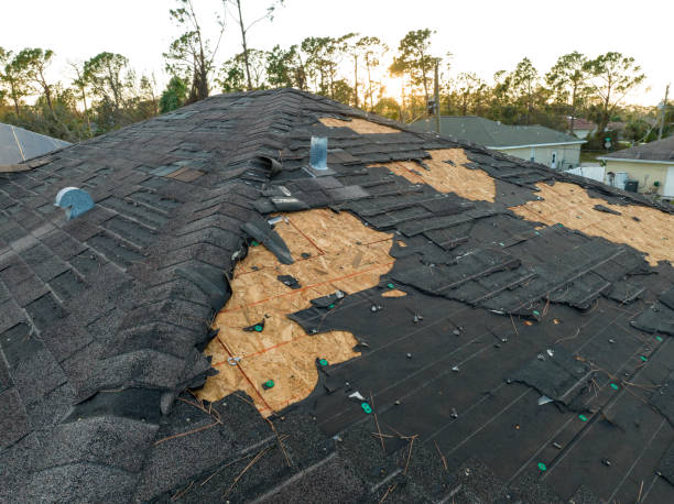 Best Roof Coating and Sealing  in Glennville, GA